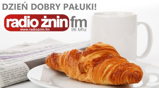 Dzień dobry Pałuki